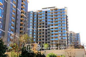 ?jin)ʢF(xin)βP ۺr(ji)8300Ԫ/ƽ