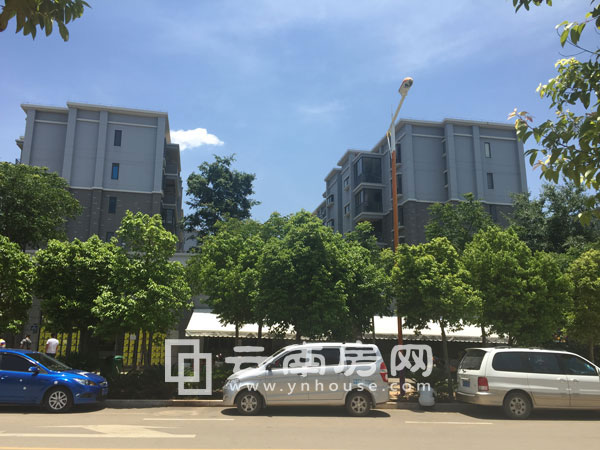 ���l(f��)�L�A�̘I(y��)���ļ��ȱP����ƪ���佨6�fƽ���̘I(y��)