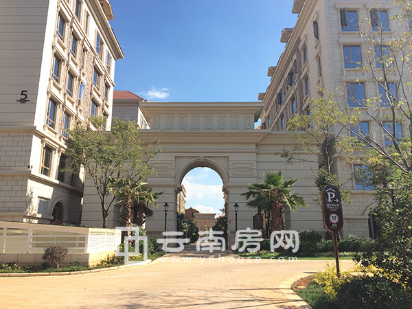 ɏ＾ȱP(pn)u(png)r(ji)ƪЌmČ(xi)֘