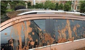 ز܇ͣԺͿĨ{ T“Ѳ߉܇”