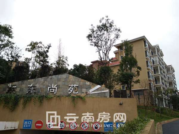 ϖ|Է16궬ȱPNƪСߌӾr7100Ԫ/O