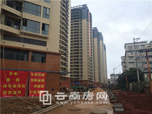 ٶɅ^(q)ضҊl(f) QSخa(chn)o