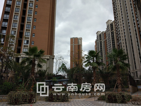 Iǳ@16궬ȱPurƪFIס