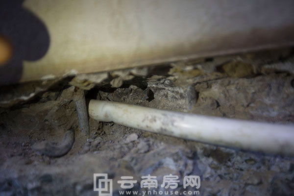 Юa(chn)L(fng)_¼7 _l(f)״ΰl(f)