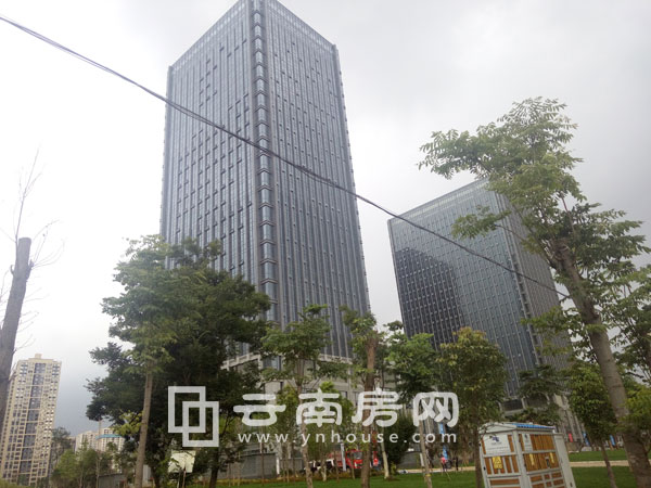 pH̄17＾ȱPNƪԢr8000Ԫ/O