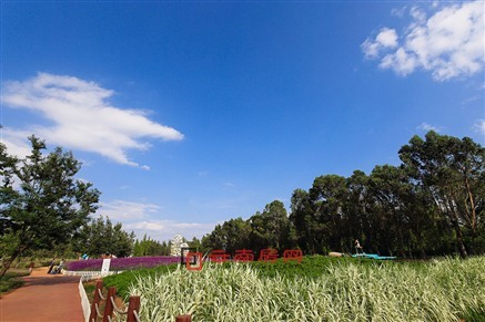 ڈسĴٰlչ  ƹI}푕r