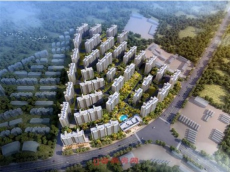 ̹@ӳA(y)Ӌ525_P ƽs113-224ƽ