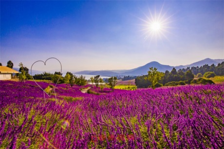 3.4|D(zhun)׌ə(qun) ϳͶ˳ںþ(xing)Ŀ