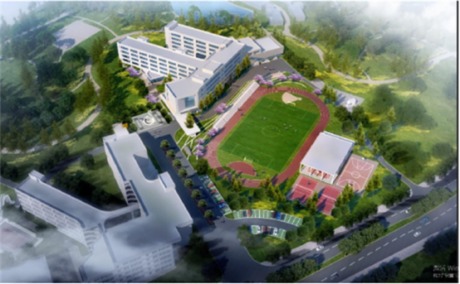 ִW(xu)@246µ׿W(xu)Ͷ