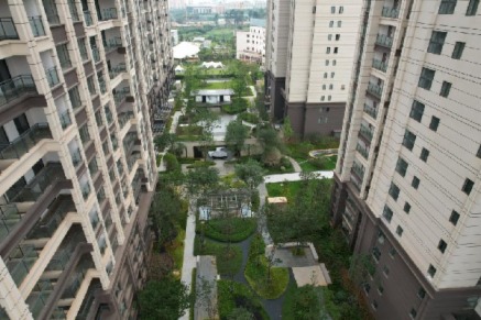 F(xin)“Ȫ”Ä·Ȫȼٹ@ʢb؆