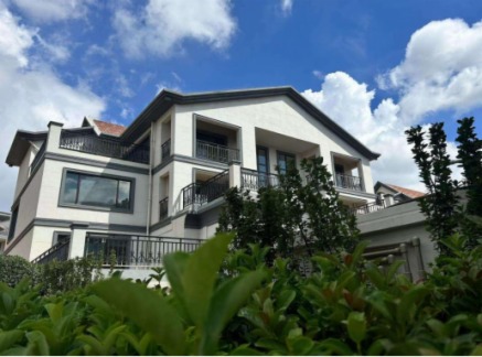 ϳ ʢĻ——о·Ω81ϯbؼe