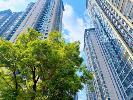 Ƴǳ_ʼkCˣ“C”ڰl